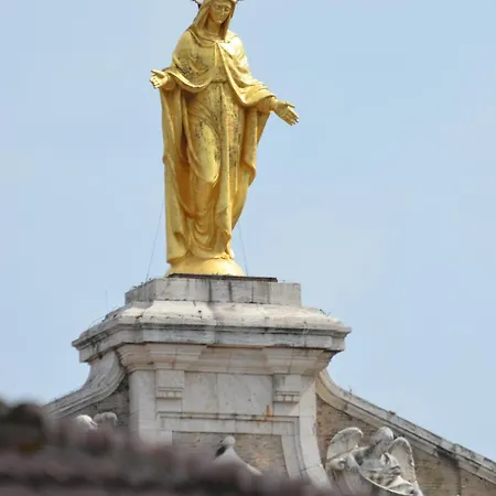 Assisi - Angelic *