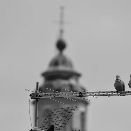 아파트 Assisi - Angelic *